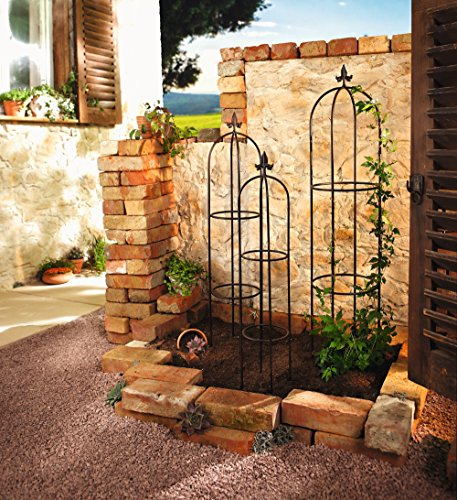 Dekoleidenschaft 3X Rankhilfe Schwertlilie aus Metall, schwarz, Garten Ranksäule, Obelisk, Rosenspalier, Rankgitter für Kletterpflanzen