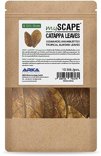 ARKA mySCAPE-CATAPPA Leaves - 12-16 cm / 10 Stück - Natürlicher Wasseraufbereiter aus Seemandelbaumblättern für Süßwasseraquarien, verbessert Gesundheit von Fischen & Garnelen