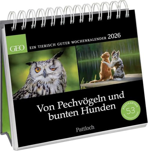Postkartenkalender 2026: Von Pechvögeln und bunten Hunden: Ein tierisch guter Wochenkalender | Zum Aufstellen, Tischkalender mit Spiralbindung und 53 Postkarten zum Heraustrennen
