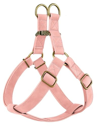 Personalisierte PU Leder -Haustier -ID -Name Buckle Gurtzur,A,M
