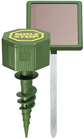 Windhager Wühlmaus- & Maulwurfvertreiber MOLE Stop SOLAR, Wühlmausabwehr, Maulwurfvertreiber, Maulwurfabwehr, Schlagenabwehr, Eidechsenabwehr, Wirkungsbereich ca. 1000m², Grün