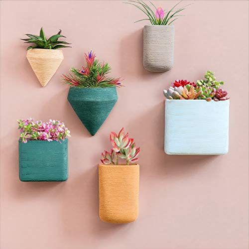 Geometrische Harz Wandbehang Pflanzgefäß 6er Set Wandvase für Luftpflanzen Farne Seidenblumen Kakteen Sukkulenten Vertikaler Behälter für Indoor Outdoor Garten und Küche Dekor