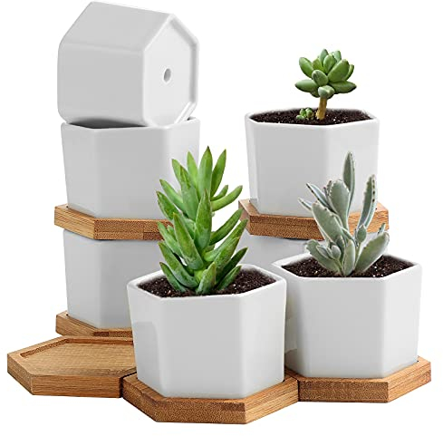 TsunNee 2.7 Inches Ceramic Flower Pots - Hexagon White Succulent Planters, Mini Decorative Bonsai for Home Garden Office Decor, Desktop Windowsill Gift