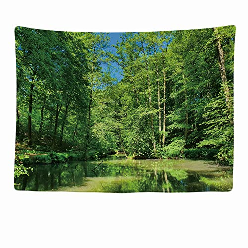 Ulticool - Árboles Naturaleza Agua Veluwe Los Países Bajos - Tapiz mural - 200x150 cm - Gran tapiz - Decoración póster - Papel pintado - Lienzo - Pintura - Accesorios Separadores de habitación
