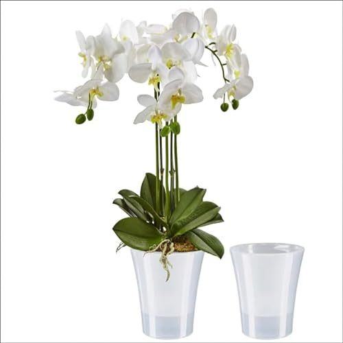Santino 2er-Set Orchideentopf transparent mit selbstbewässerndem Dochtsystem - D 15 cm - Transparent - 2 L