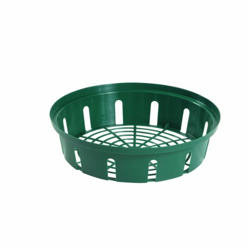 Bosmere N430 Garden Care Round Bulb Baskets, Small (26 cm), Pack of 3, Green