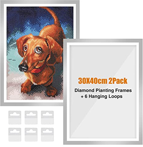 RICUVED 2 Packungen Diamant Painting Rahmen, Diamond Painting Bilderrahmen 30x40 cm Silber, 5D Diamond Painting Rahmen Picture for Diamant Malerei 30x40 cm Diamond Painting Frame mit Haken(Silber)