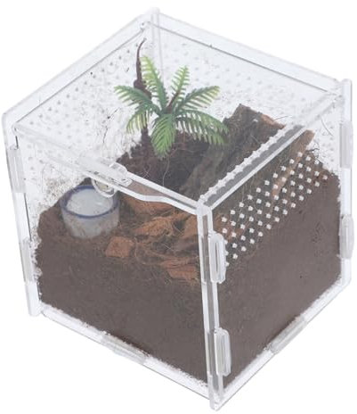 ROMISBABA 1satz Transparente Zuchtbox Für Springspinnen Atmungsaktiv Aus Bruchsicherem Acryl Terrarium Für Insekten Futterbox Für Reptilien Einfache Beobachtung Und Pflege