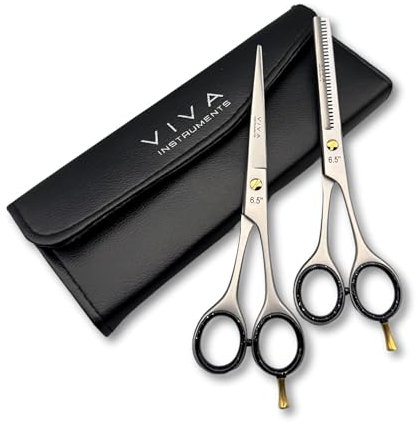 Professional 6.5 Inch Hair Scissors & Thinning Shears Texturing Set Premium Stainless Steel for Precision Cutting Sharp Blades for Effortless Styling Salon Quality Cuts Hairdressing Tools (Silver)