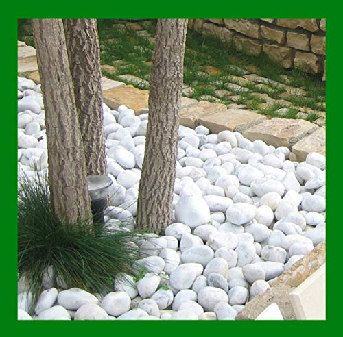 Seat Flor srl® CIOTTOLO Bianco Carrara, Pietra Bianca per Giardino, ciottoli bianchi per giardino e aiuole (20 kg.) (misura 15/25 mm.)
