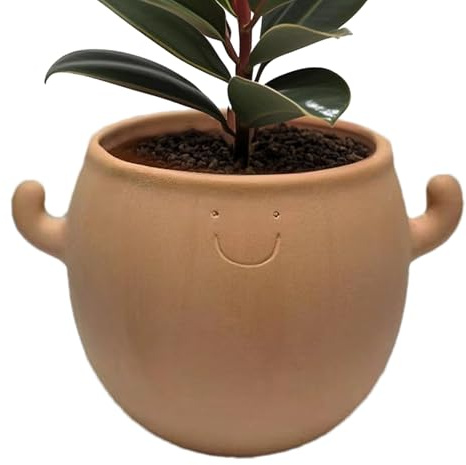 Generisch Keramik-Blumentopf mit Lächelndem Gesicht - Sukkulententopf für Deko | Lustiger für Schreibtisch, Garten, Balkon | Künstlerischer Bonsai- für Frauen/Männer (12cm)