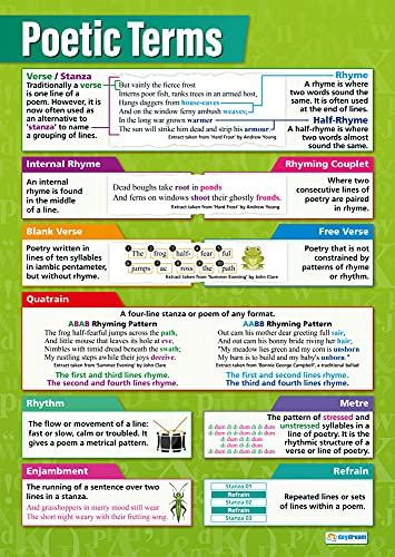 Daydream Education Poetic Terms English Classroom Poster - EXTRA LARGE 33” x 23.5” - Laminated - Language Arts Middle & High School Class Decoration - Wall Charts