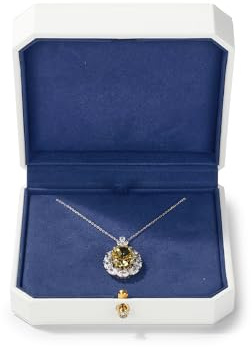 Papten Precious Leder Halskette Anhänger Armband Display Box Schmuck Geschenkboxen