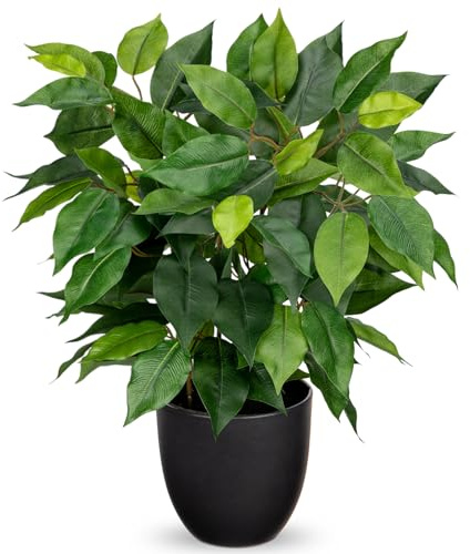Hollyone Künstliche Pflanzen Wie Echt Ficus 40cm Künstliche Ficus Pflanzen im Topf Grünpflanze Deko Zimmerpflanze für Fensterbank Wohnzimmer Badezimmer Tischdekoration, Grün