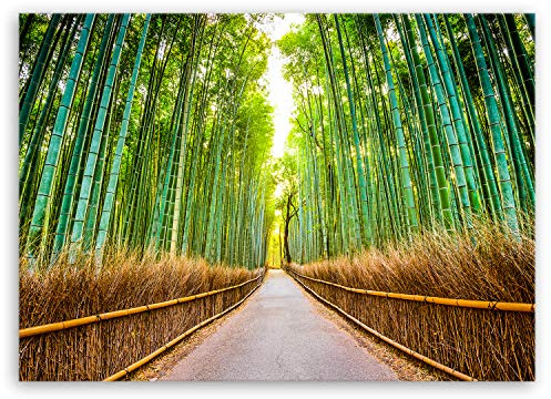 ge Bildet Bild auf Leinwand | Bambus Wald in Kyoto - Japan - natur blumen grün J in 70x50 cm als Wandbild | Wand-deko Dekoration Wohnung modern Bilder | 2213