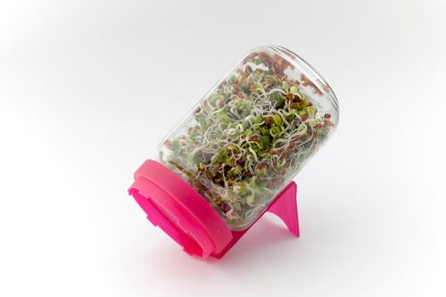 Sprossenglas | Anzuchtschalen von Dürr-Samen, Farbe:rosa