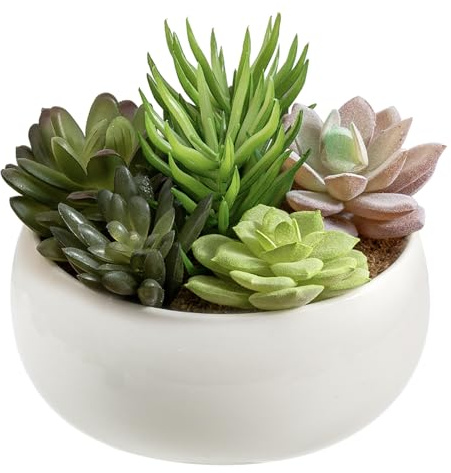 MyGift 6 Inch Round Modern Artificial Succulent Arrangement Potted in White Ceramic Plant Bowl, Assorted Faux Mini Succulents in a Decorative Planter Pot