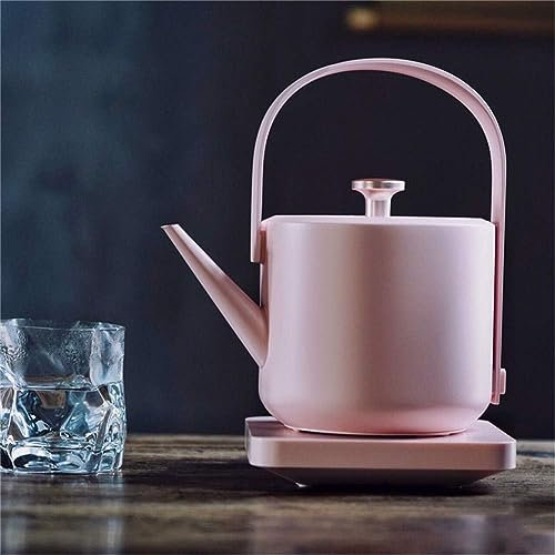 ZJGFCB Hervidor Eléctrico Retro, Acero Inoxidable Tetera Doméstica Comercial De Agua Eléctrica Caldera De Agua Hermosa Tetera 600 Ml, 1200w(Color:b)