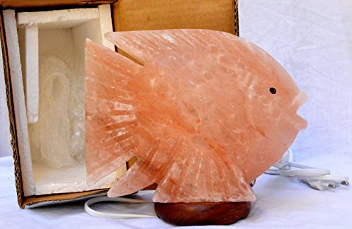 Artigianato Lampada di sale Salgemma dell'Himalaya Pesce