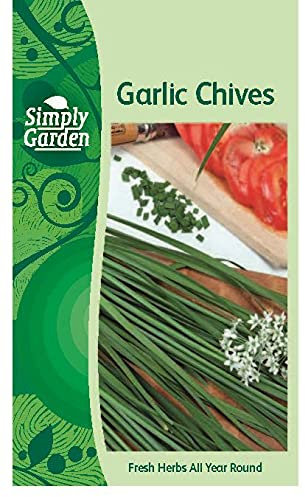 Simply Garden Garlic Chives Fresh Herb Seeds Grow Your Own Garden Sow All Year Round