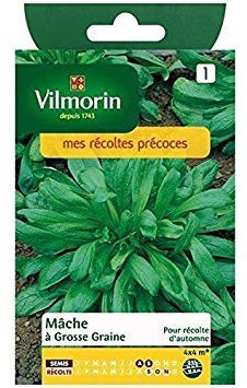 Sacchetto Semi di lattuga Agnello con Grosse Seed