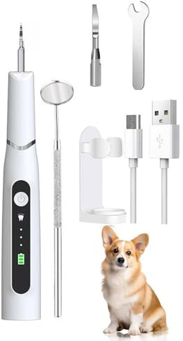 Boyuan Rimuovi Placca e Tartaro Ultrasuoni per Cani, Kit per la Pulizia dei Denti per Animali Domestici, Raschietto Dentale Ricaricabile per Animali Domestici, 3 Modalità con 2 Testine di Pulizia