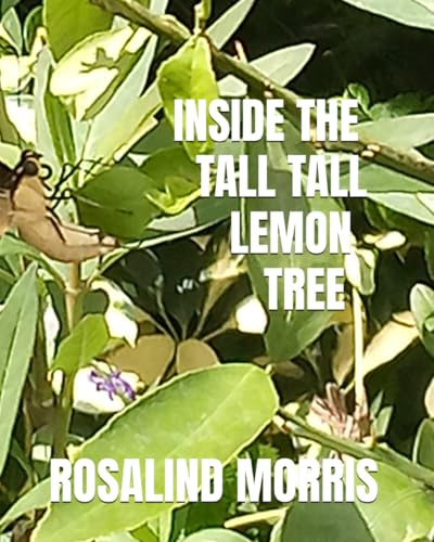 INSIDE THE TALL TALL LEMON TREE