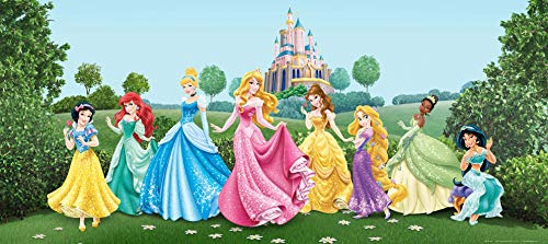 AG Design FTDNh5325 Fototapeten Bildtapete Wall-Mural Foto Tapeten Photomurals Disney Princess Prinzessin