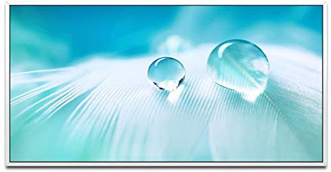 Wassertropfen auf einer Feder ca. 130x70cm Wandbild inklusive Schattenfugenrahmen weiss - Panorama Leinwand Bild XXL Format Wandbilder Wohnzimmer Wohnung Deko Kunstdrucke