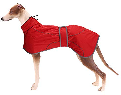 MOREZI Windhund-Wintermantel, Whippet-Mantel mit gepolstertem Fleece-Futter, Wasserabweisende Hundejacke mit verstellbaren Bändern und reflektierenden Elementen-Rot-S