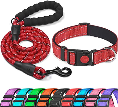 haapaw Reflekterande hundhalsband vadderat med mjuk neopren andningsbar justerbar hundhalsband i nylon för små medelstora hundar