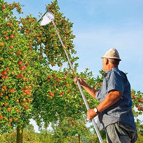 LekLai Obstpflücker, Apfelpflücker Mit Teleskopstiel, Verbindungsstange Aus Edelstahl, Metallklemme/Gold/7M(22.9Ft)