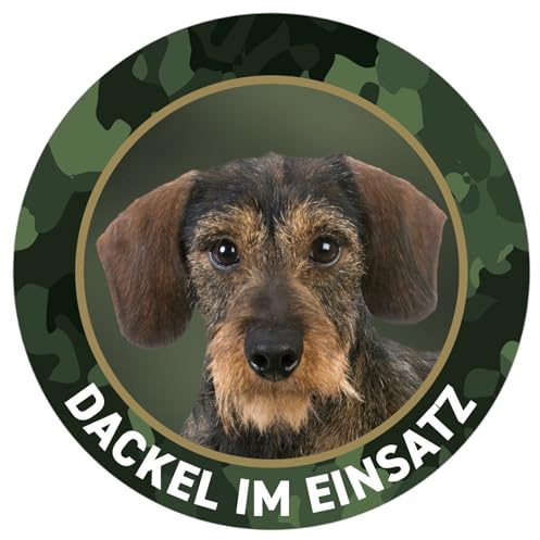 Rauhaardackel Aufkleber - Dackel im Einsatz, Teckel Jagdhund Premium Sticker für Auto, Pkw, Kfz, Kofferraum oder Autoscheibe - mit Hunde und Jagdhundemotiven, Ø 10 cm - Made in Germany