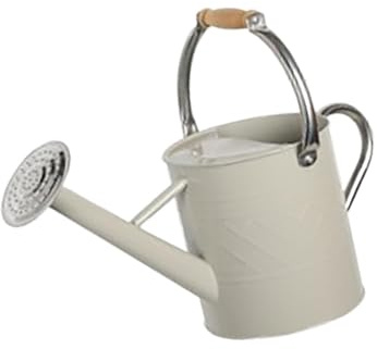 Fenteer Arrosoir de Jardin Pot D'Arrosage Seau à Eau Bidon en Fer Robuste avec Pommeau Amovible pour Un Arrosage Doux Convient pour Les Plantes D'Intérieur E, 5.5l
