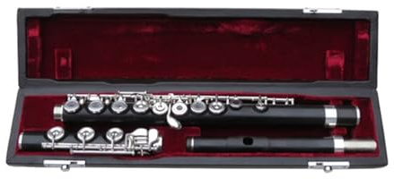 Flöte professionelles Instrument 17 Löcher offene C-Taste