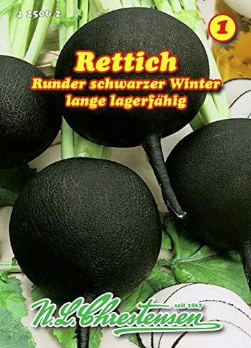 Rettich, Runder schwarzer Winter, Winterrettich spät N.L.Chrestensen Samen