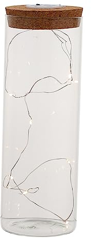 Abaodam Transparent Glass Storage Bottle with Cork Stopper Led Lights for Preserved Flowers Crafts and Home Decor for Unique and Decorative Displays
