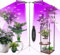 Carastek Lampe de Plante, 56 LEDs Lampe de Croissance à Spectre Complet, 4 Têtes, 9 Niveaux Dimmables, Arrêt Automatique 3/9/12H