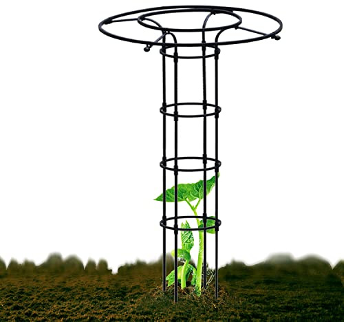 Support obélisque de jardin pour plantes, treillage en métal pour intérieur/extérieur, cadre d'escalade antirouille pour fleurs, légumes, vignes et plantes en pot (noir)