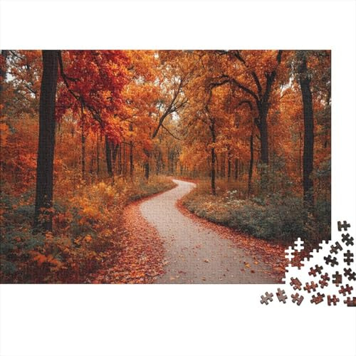 Winding Path through Autumn Forest with Deciduous Trees 1000pcs (75x50cm) Erwachsenenpuzzle - Erwachsenenpuzzle DIY-Puzzlespielzeug