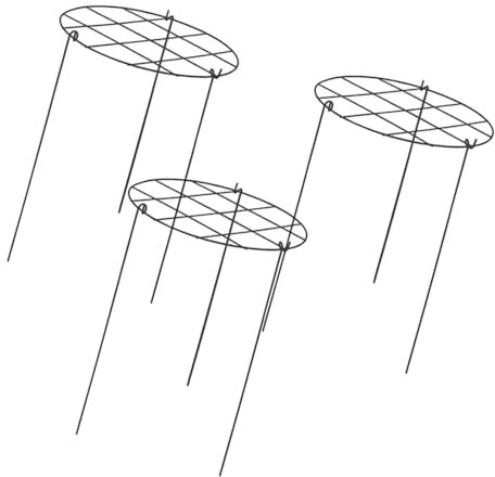 MagiDeal 3 Pieces Peony Cages and Supports Peony Support Frame Plant Support Stakes Metal Frame Grow Through Plant Supports Hoops for Tomato Flopping Flowers Vegetables,Grids,30 * 40cm