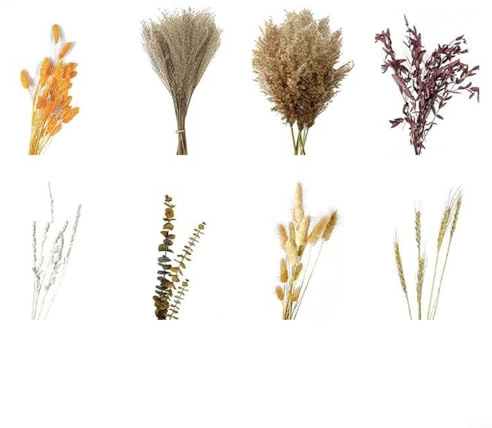 Alanmoship Bouquet d'herbe de la pampa séchée naturelle avec mini plumeau, queues de lapin, pierres précieuses oranges, tiges de roseau, eucalyptus rouge, jaune, herbe féérique pour décoration de