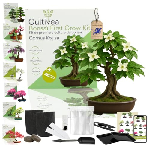 CULTIVEA® Bonsai Startkit Cournus Kousa – Odla Själv med Frön & Tillbehör – Presentidé Trädgård | Tillverkad i Frankrike