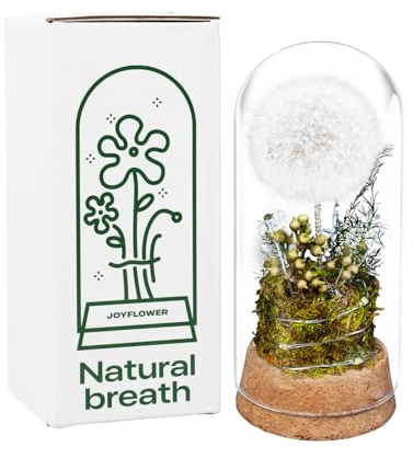 JoyFlower Preserved Dandelion in Glass Dome, Real Dandelion Eternal Flowers Gifts for Women, Preserved Flower Friendship Gifts for Girlfriend Best Friend Sisters Daughter Birthday Graduation Gift