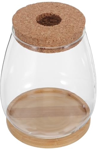 NUOBESTY Lot de 2 Sets de Vases Hydroponiques en Verre Transparent Grand Format avec Bouchon en Liège et Plateau en Bambou, Pots à Plantes pour Propagation et Culture Hydroponique,