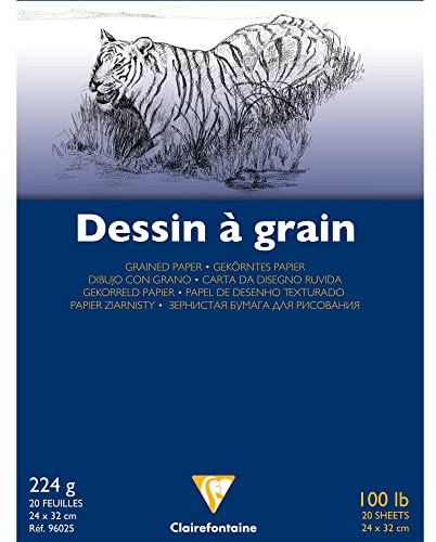 Clairefontaine 96025C - Block gekörntes Zeichenpapier, geleimt, 20 Blatt, 224g, DIN A4+ 24x32 cm, mit Körnung, ideal für Nasstechniken und Trockentechniken, Weiß, 1 Block
