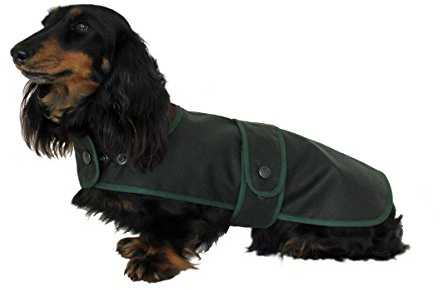 Cosipet Dachshund Hunter Coat, 33 cm (13 tum), grön