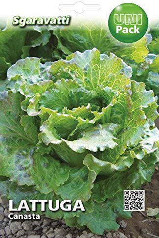 SGARAVATTI Busta Semi Orto Lattuga Canasta