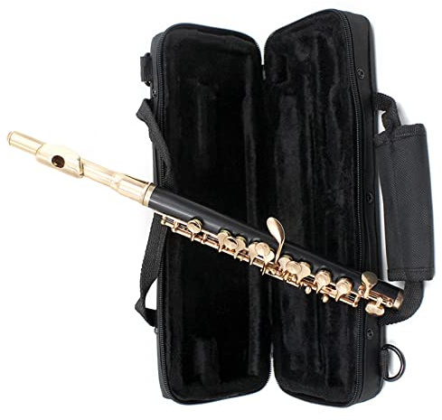 Flöteninstrument Goldene Flöte In Halber Größe, Cupronickel, Vergoldeter C-Tastenton Mit Poliertuch-Reinigungsstift-Set-Etui Professionelles Querflöten
