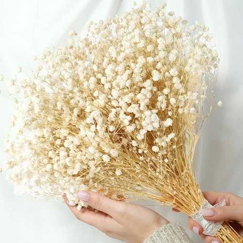 2300+ Dried Babys Breath Flowers 17'' Bulk – Natural Ivory White Gypsophila Branches, White Dried Flowers for Vase, Wedding Decor, Table Centerpiece, DIY Floral Crafts